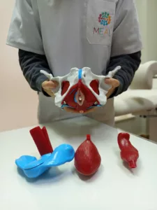 Fisioterapia pélvica